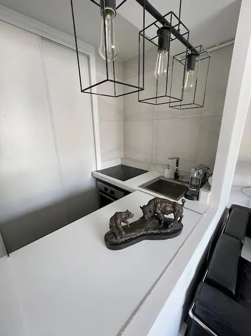 Apartment French Design Appartement Commerces Paris France